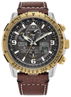 Citizen Eco-Drive Promaster Air