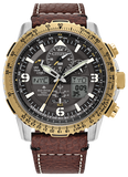 Citizen Eco-Drive Promaster Air